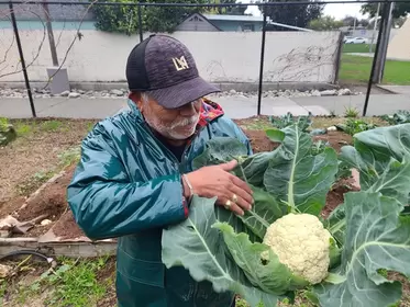 Did You Know Santa Ana Has 5 Awesome Community Gardens?